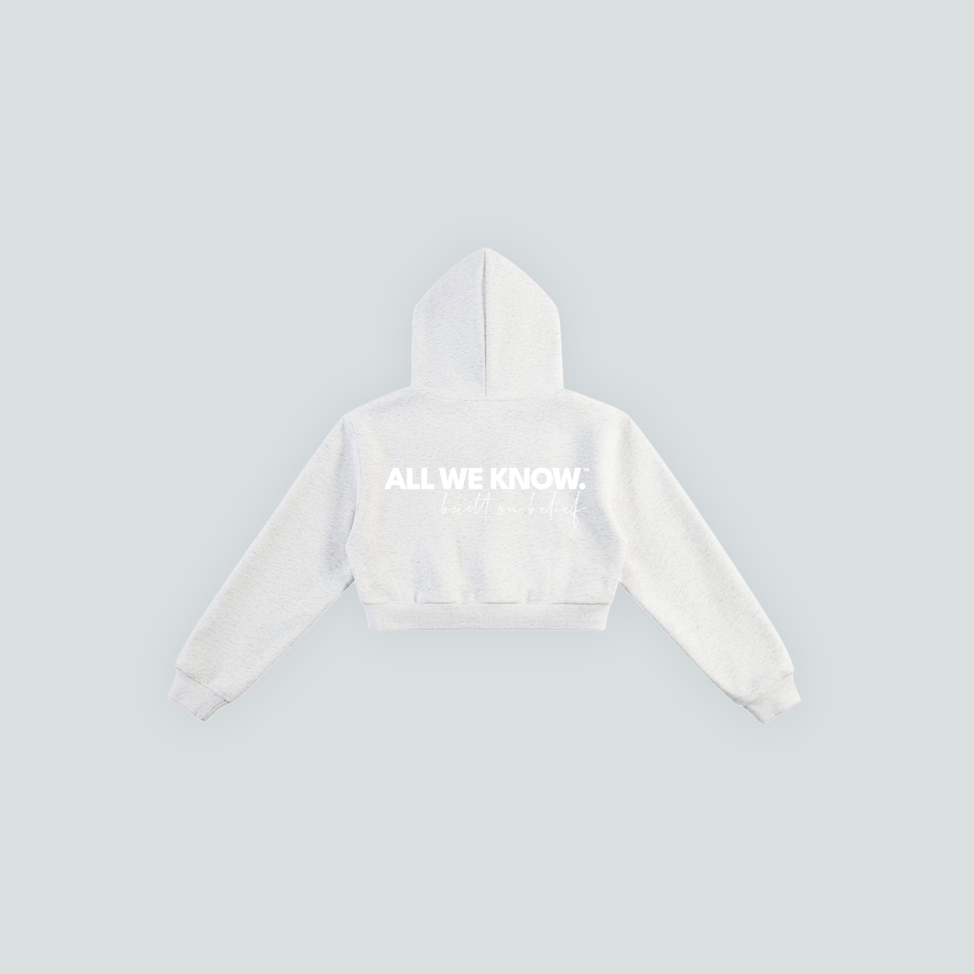AllWeKnow™ 01 Cropped Hoodie