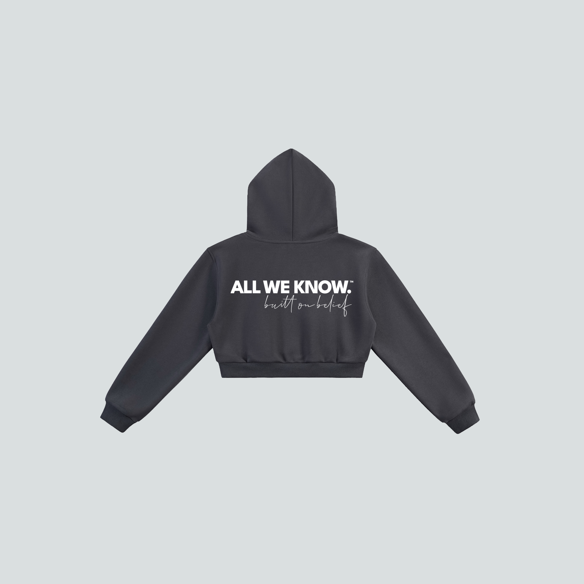 AllWeKnow™ 01 Cropped Hoodie