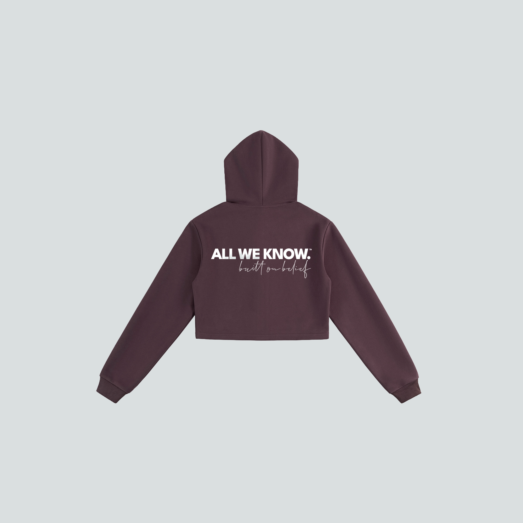 AllWeKnow™ 01 Cropped Zip Hoodie