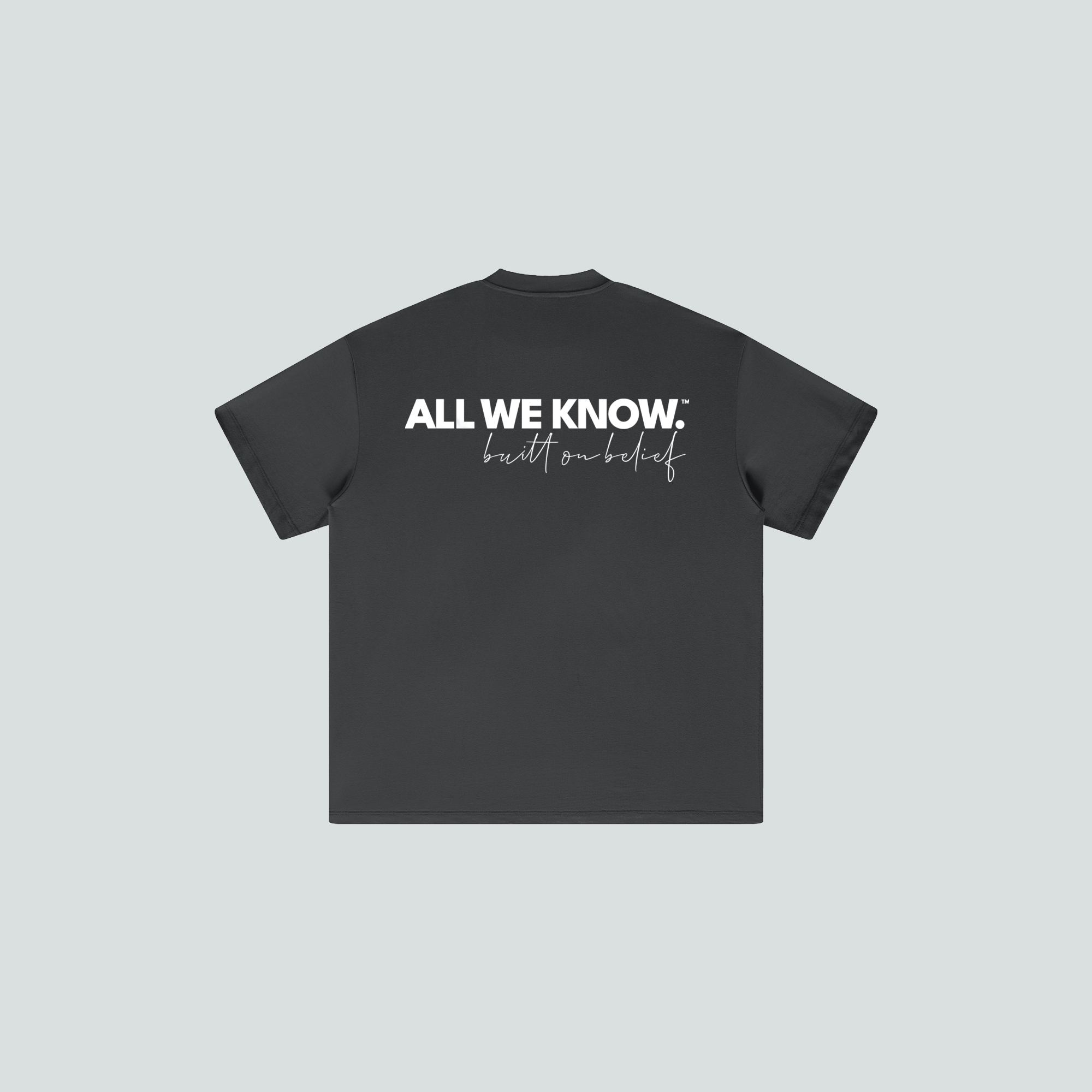 AllWeKnow™ 01 Heavyweight T-Shirt